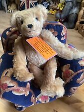 Teddy bear chillin for sale  DRIFFIELD