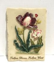 Placa de parede floral vintage tulipa Diana, tulipa veue tulipas comprar usado  Enviando para Brazil