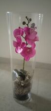 orchidea vaso usato  Bologna