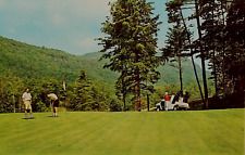 Esportes: jogadores, carrinho de golfe, campo de golfe Lake Toxaway, Lake Toxaway Estates, NC. comprar usado  Enviando para Brazil