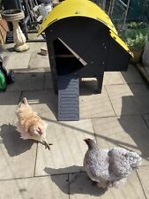 Chicken coop hen for sale  WARRINGTON