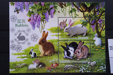 Conejo 34 conejos conejos DPRK 2011 animales animales bloque MNH ** sin charnela, usado segunda mano  Embacar hacia Spain