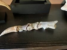 Spinosaurus foot claw for sale  Waxhaw