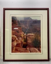 canyon framed grand print for sale  San Jose
