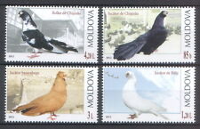 Moldova 2012 birds for sale  Shipping to Ireland