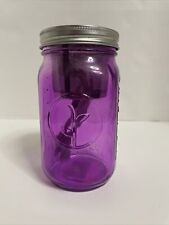 Modern Sprout Jar - Grow with Self Watering Indoor Garden Mason Purple for sale  Shipping to South Africa