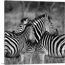 Artcanvas zebras home for sale  Niles
