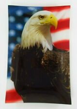 Patriotic american bald for sale  Pinebluff