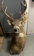 Vintage whitetail deer for sale  Hammond