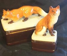 Two takahashi fox for sale  Rio Rancho