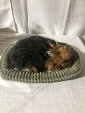 Yorkie dog puppy for sale  Louisville