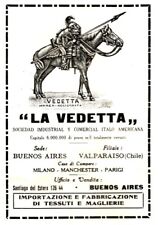 cavalli argentini usato  Biella