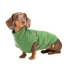 dachshund mini for sale  BRIGHTON