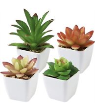 Home decor xsucculents for sale  Corona