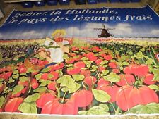 Hollande potager legumes d'occasion  Buzancy