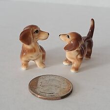 Mini dachshund weiner for sale  Wentzville