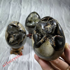 Natural dragon septarian for sale  Shipping to Ireland