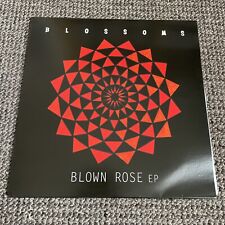 Blossoms blown rose for sale  SHEFFIELD