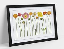 Poppy flowers illustration for sale  LONDONDERRY