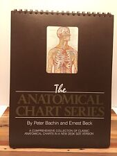 Anatomical chart series for sale  Fountain