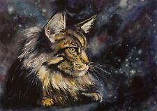 Maine coon cat for sale  SELBY