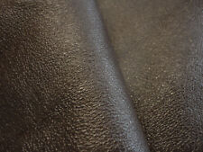 Dark brown coated for sale  UK