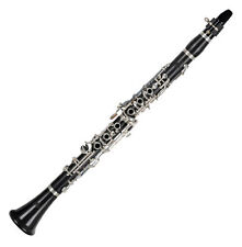 Ware klarinette deutsches gebraucht kaufen  Schongau