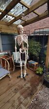 medical skeleton for sale  TELFORD