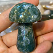2" Natural algae agate Quartz Hand Carved Mushroom Crystal skull Healing 1PC til salg  Sendes til Denmark