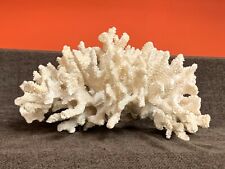 Ramo corallo bianco usato  Rho