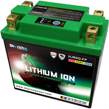 SKYRICH Bateria de litio con indicador de carga LIB9Q comprar usado  Enviando para Brazil