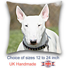 English bull terrier for sale  WISBECH