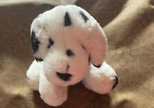 Dot dalmatian puppy for sale  BRADFORD-ON-AVON