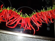 Chili peperoni frische gebraucht kaufen  Bad Friedrichshall