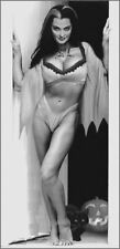 Lily munster halloween for sale  USA