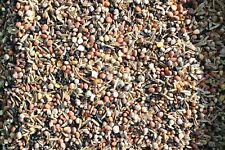 WILD SEED CONDITIONING MIX for BIRDS 950g - DELI NATURE for sale  NEW MILTON