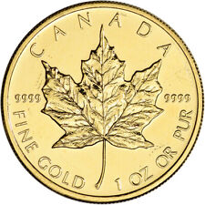Canada gold maple for sale  Dallas
