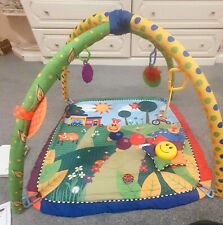 Baby einstein play for sale  OSSETT