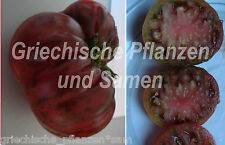 Purple calabash tomate gebraucht kaufen  Pliezhausen