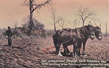 horse plough for sale  BARNOLDSWICK