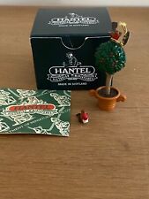 Hantel miniature holly for sale  BOGNOR REGIS