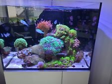 Meerwasseraquarium komplett ge gebraucht kaufen  Neuenstadt