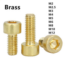 Tornillos de cilindro M2 M3 M4 M5 M6 latón hexagonal interior hexagonal segunda mano  Embacar hacia Argentina