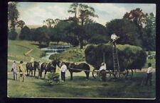 Usado, Postal de colección antigua cosecha de heno, vagones tirados por caballos para trabajadores segunda mano  Embacar hacia Argentina
