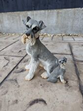 Schnauzer puppy. country for sale  CHESTER