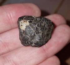Ghadamis 12.2g chondrite for sale  PLYMOUTH