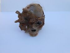 Trauma skull human for sale  Cypress