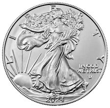 2024 - Moneda de plata fina American Eagle de 1 oz .999 BU - ¡EN STOCK! segunda mano  Embacar hacia Mexico