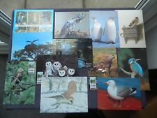 Postcards birds seagull for sale  NOTTINGHAM