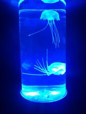 lampka nocna z meduzami na sprzedaż  PL